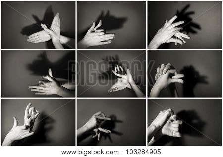 Hands gesture like different  animals and figures on gray background