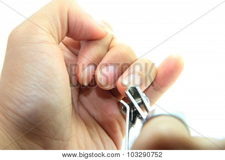 cutting the nails