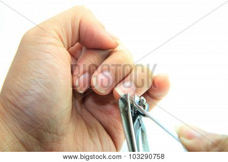 cutting the nails