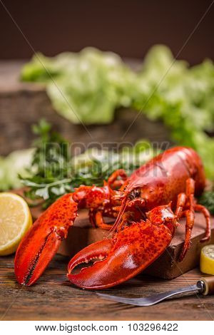 Lobster