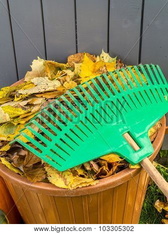 Pile of dead fall leaves swept and dumped into plastic bin with fan rake resting on it