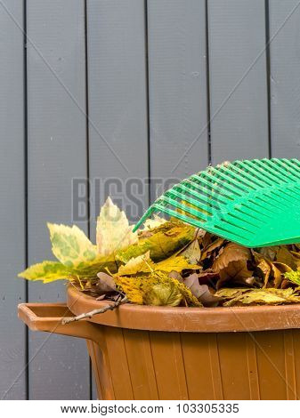 Pile of dead fall leaves swept and dumped into plastic bin with fan rake resting on it