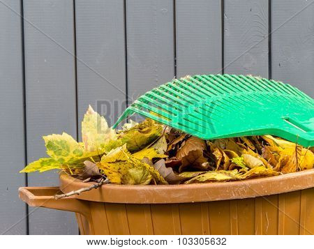 Pile of dead fall leaves swept and dumped into plastic bin with fan rake resting on it