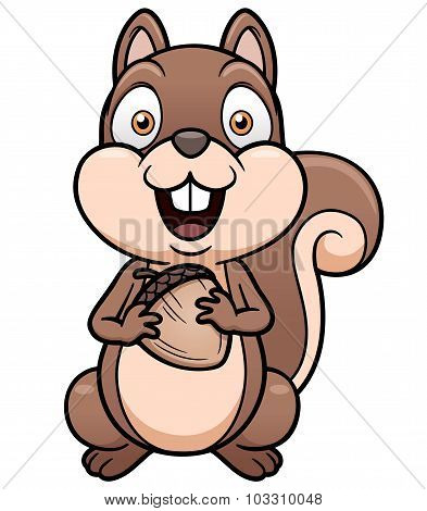 Squirrel
