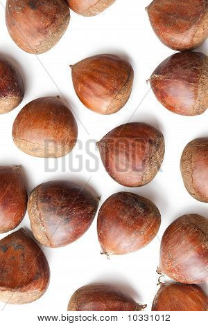Chesnuts na tle