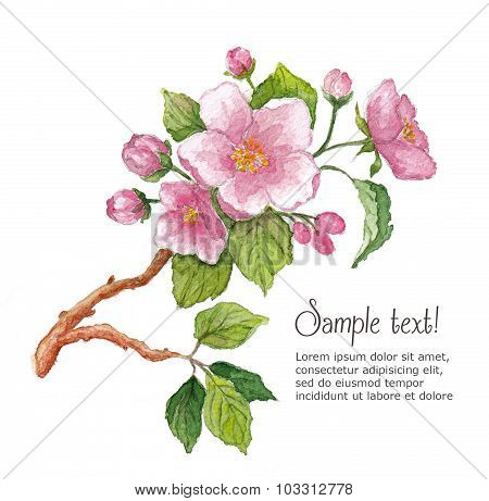 Template for greeting card  whit watercolor cherry blossoms
