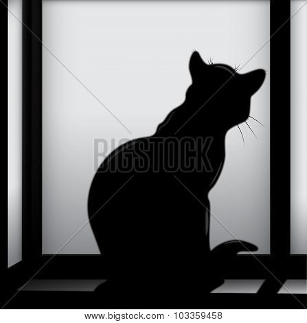 Cat On The Window