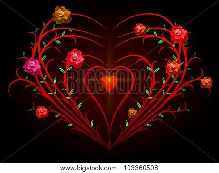 Rose Bush