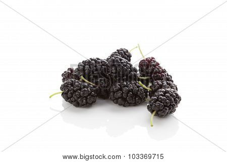 Morus Fruit.