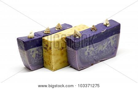 Soap Bars