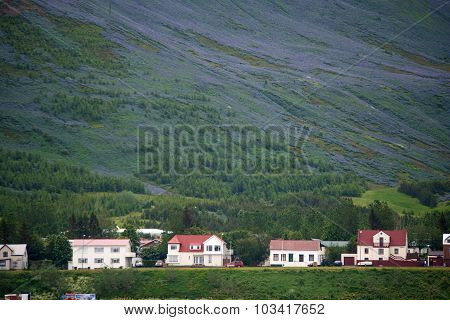 Icelandic Panorama