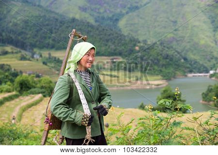 Farmers are harvesting in terraced rice field in Laocai, Vietnam.