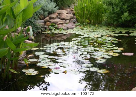 Reflekterende Pool