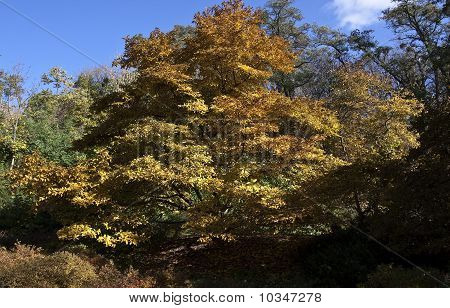 Parklandschaft