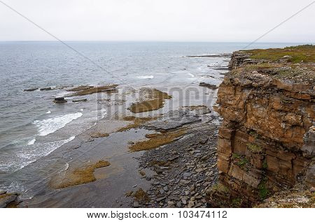 Cliffs At Barents Sea On Summer Foggy Day