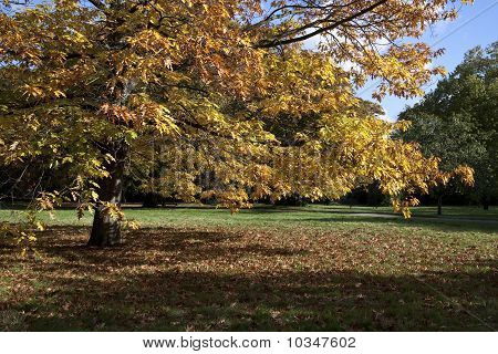 Parklandschaft