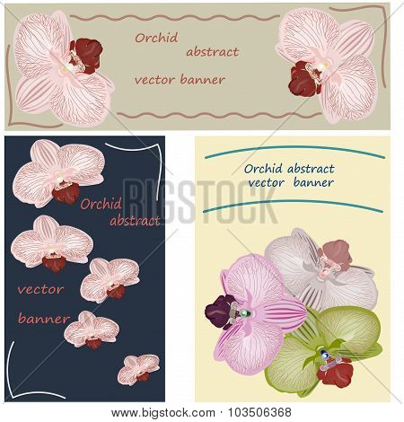 ORCHID.