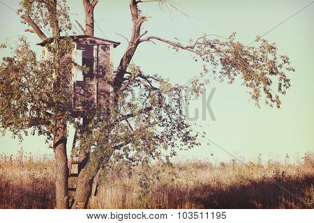 An old treehouse.  Instagram effect