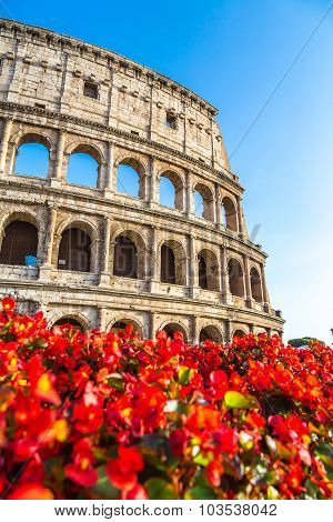 Colosseum In Rome