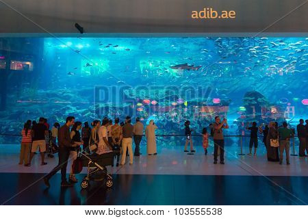Dubai Aquarium, Colocated With The Dubai Mall, Draws Many Tourists From Around The World.
