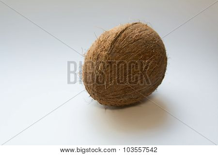 coconut