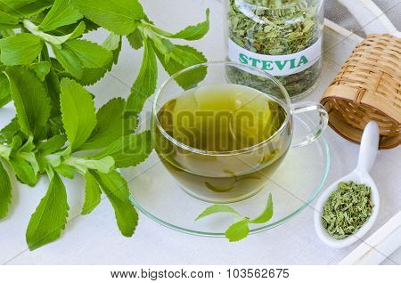 Stevia Infusion.