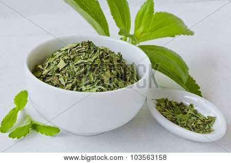 Stevia Fresh And Dried Leaves.