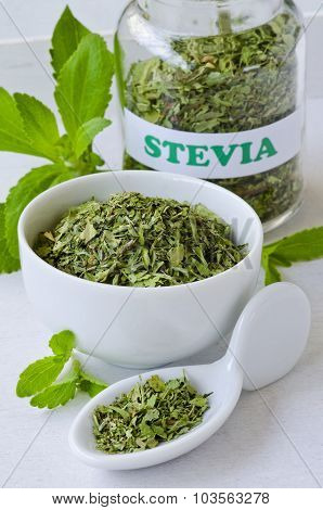 Stevia Fresh And Dried Leaves.