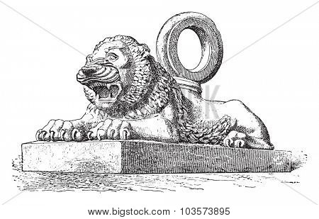 Lion Assyrian bronze, vintage engraved illustration.