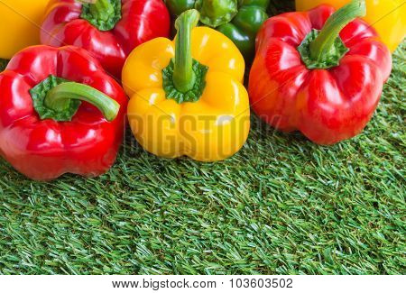Sweet Peppers On Green Grass Background