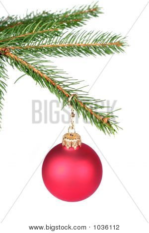 Decorazione di Natale appeso su un albero