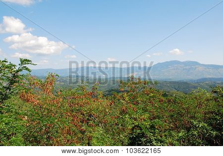 Landscape Around Gracisce