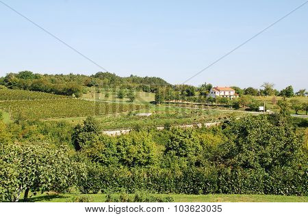 Landscape Near Gracisce