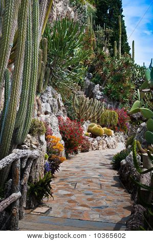 Jardin Exotique Monaco