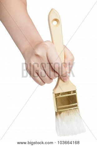 Direct View Of Painter Hand With White Paintbrush