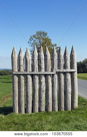 Limes palisade at Vielbrunn