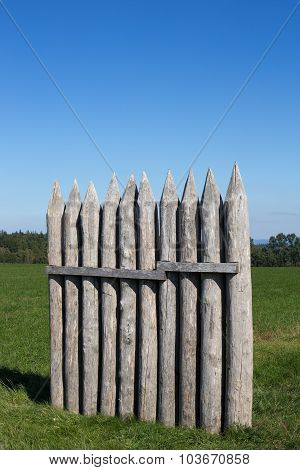 Limes palisade at Vielbrunn