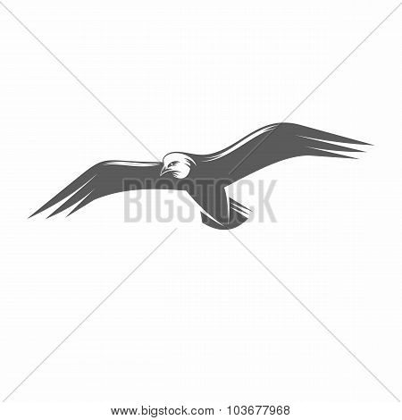 Seagull in flight black and white vector illustration