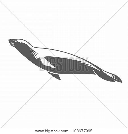 Fur seal in water black and white vector illustration
