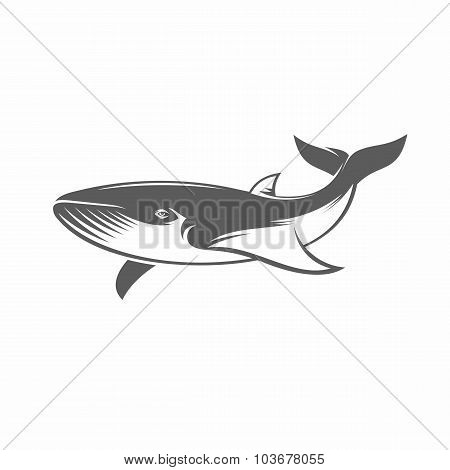 Whale in water black and white vector illustration