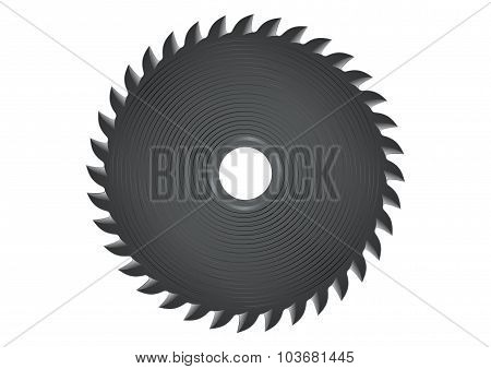 Circular Saw
