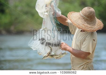 Catch Of The Day Man Lifting His Net With Many Freshwater Fish. Image With Selective Focus.
