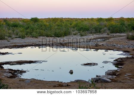 Watering Hole - Etosha, Namibia