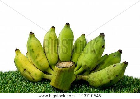 Green Banana Isolated White Background