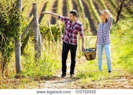 Couple at vineyard holding a wicker basket with grapes between themselves