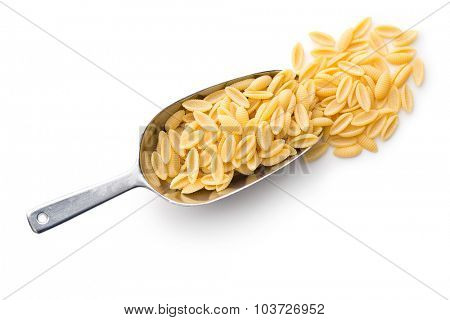 uncooked italian pasta in scoop on white background
