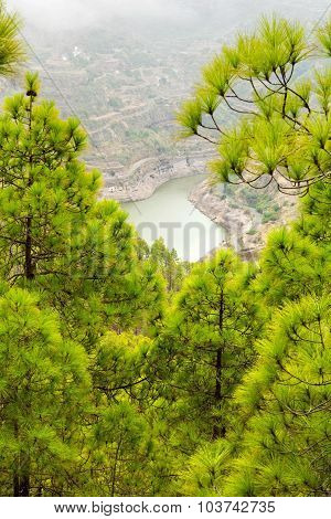 Gran Canaria, Nature Park Tamadaba