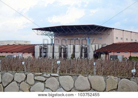 Kakheti, Georgia-march,3 2015: Kinzmarauli Winery - Production Shop, Tanks And Vineyard. Georgia
