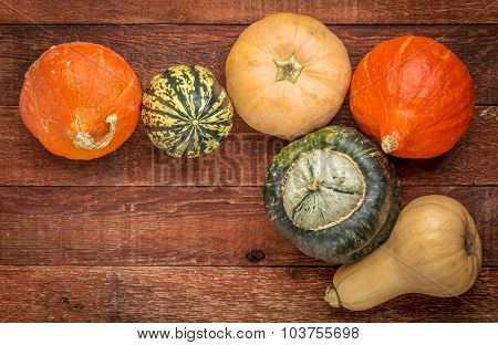 a variety of winter squash fruits on a rustic wooden table with a copy space, fall holiday background