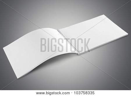 Blank mockup.